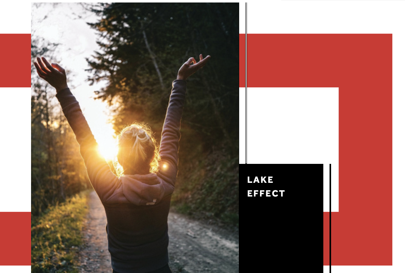 VIEW the FEARLESS WELLNESS MOMENTS document logo